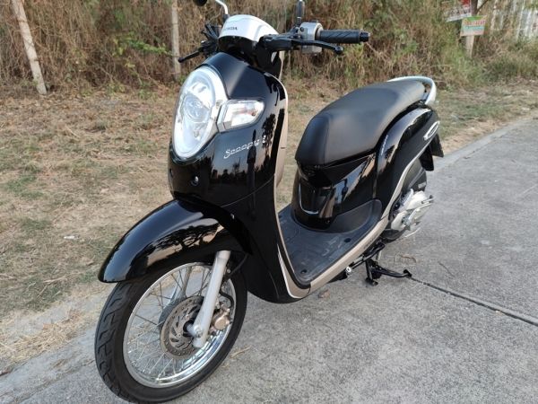 เก็บปลายทาง Honda scoopy i สด-ผ่อน รูปที่ 7